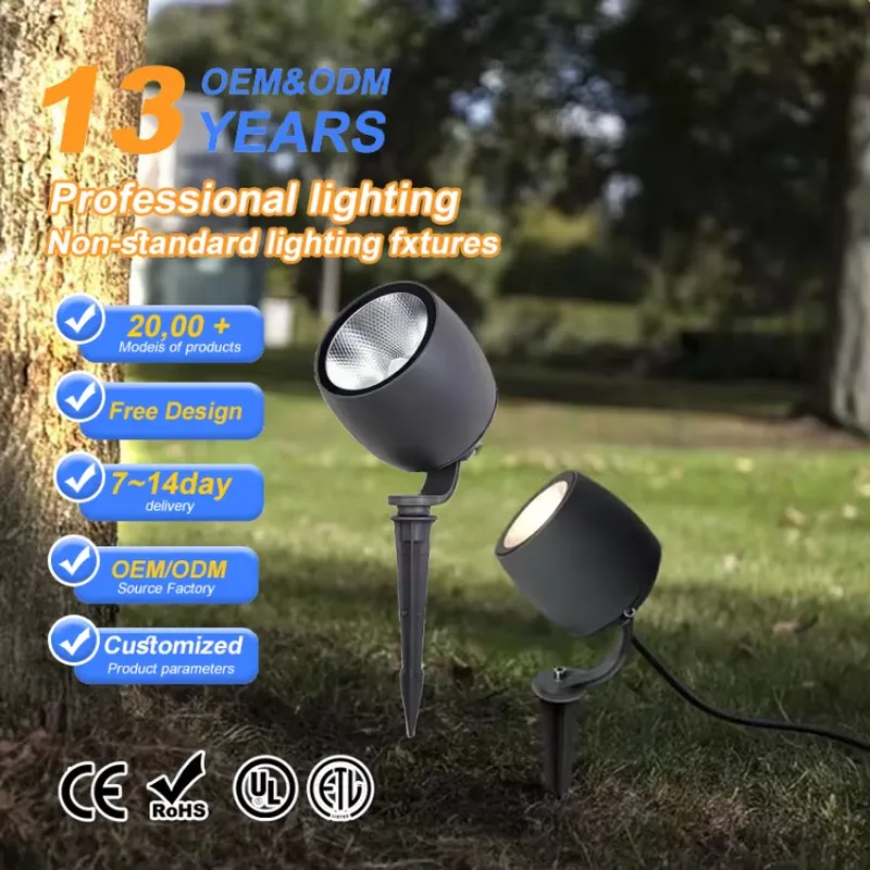 Hot Sale IP65 10W 20W 30W AC D - Outdoor Spotlight recension och pris